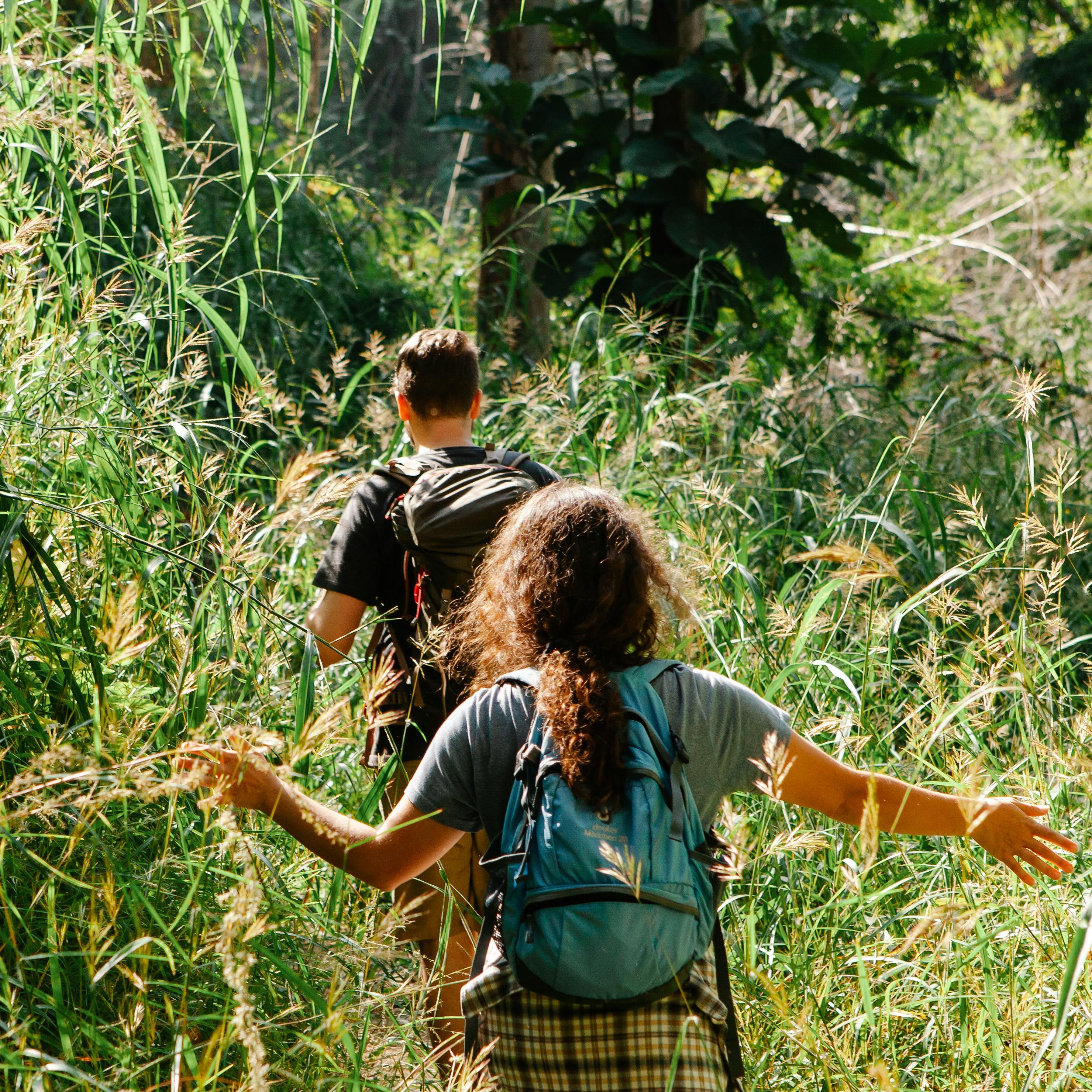 MTHFR and ADHD: practical supplement support