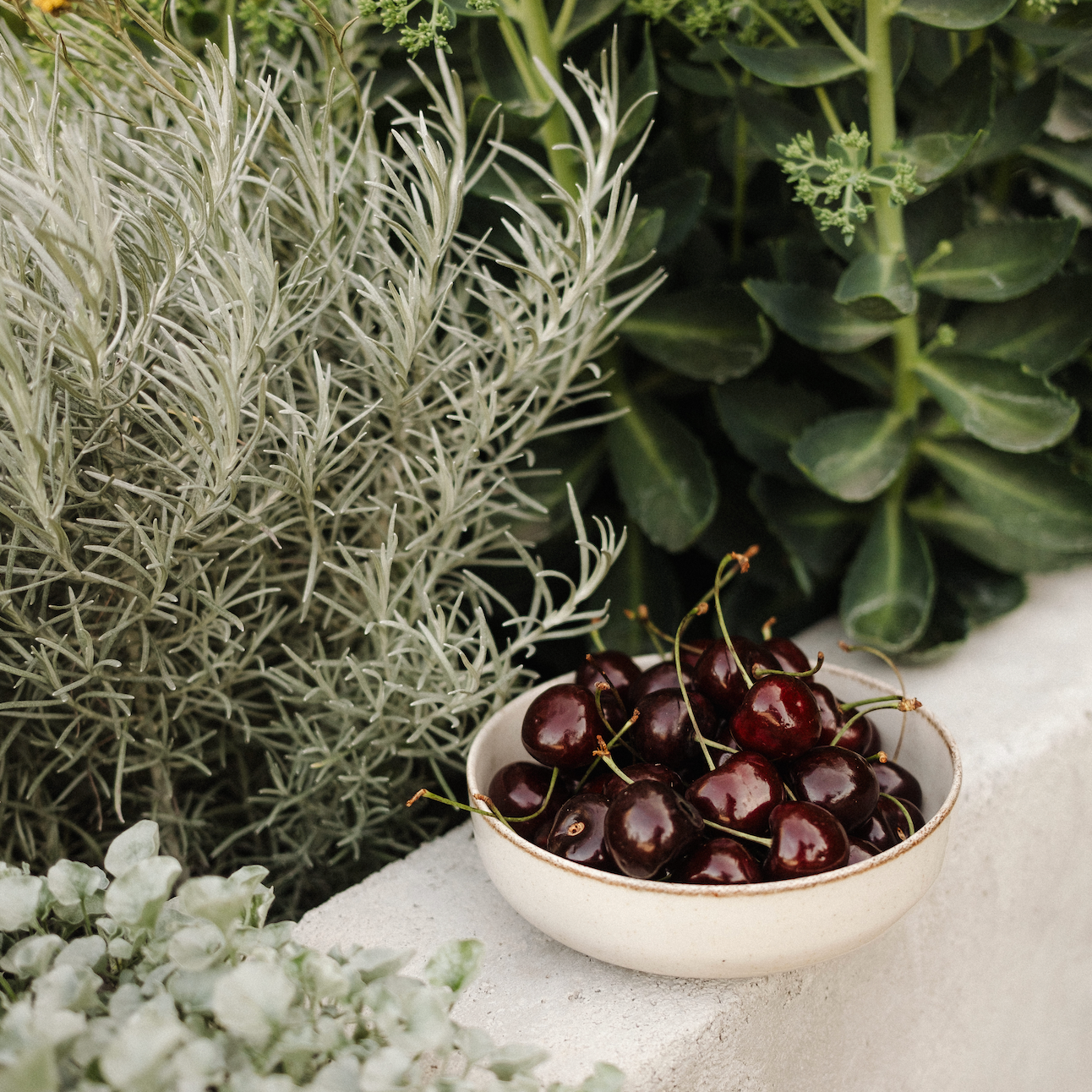 Budget-friendly clean eating: finding real food without breaking the bank