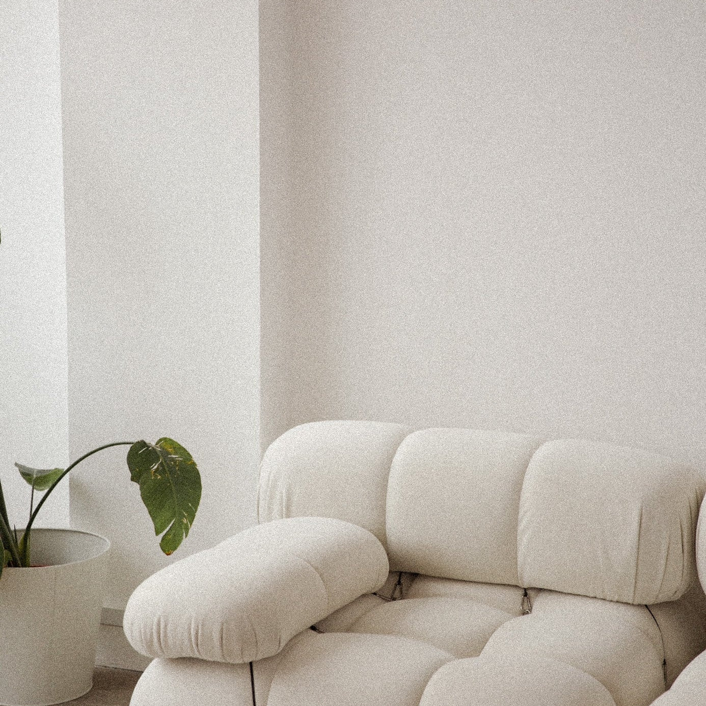 What Happens in a Naturopath Consultation? How Practitioners Assess and Treat Root Causes