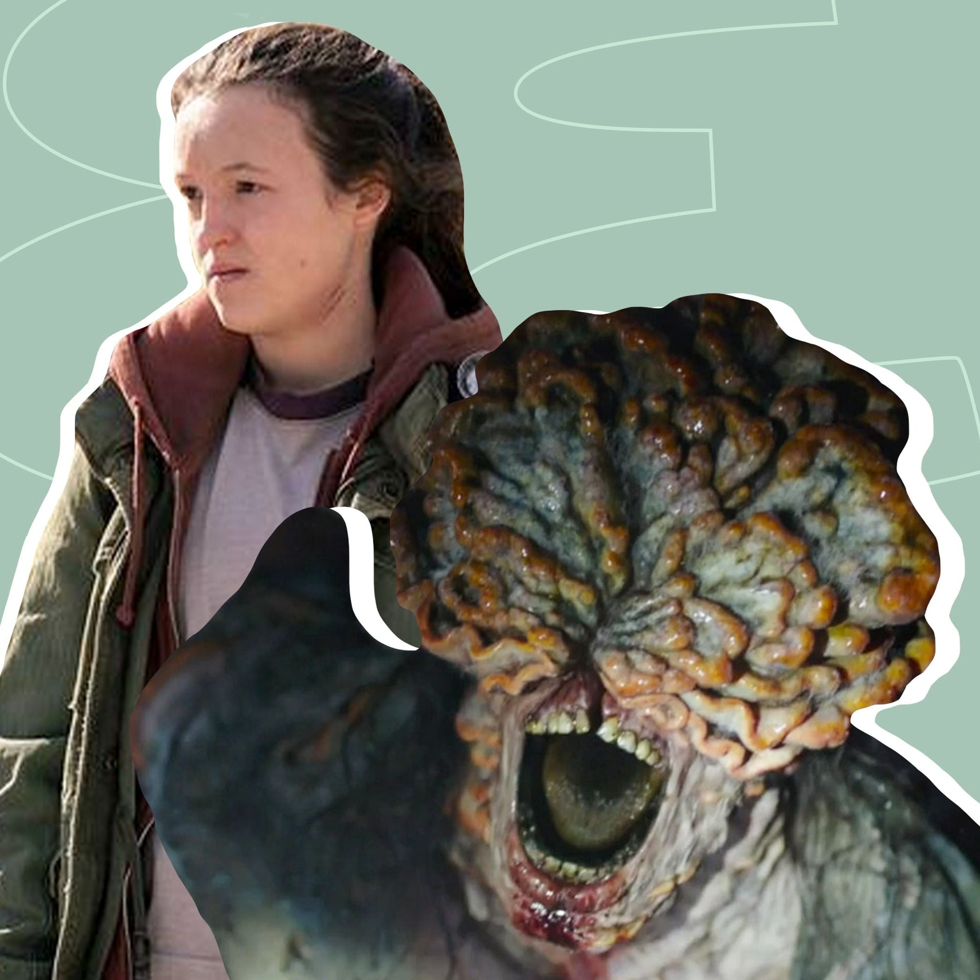 Why taking Cordyceps will not turn you into a Zombie & the actual Health Benefits