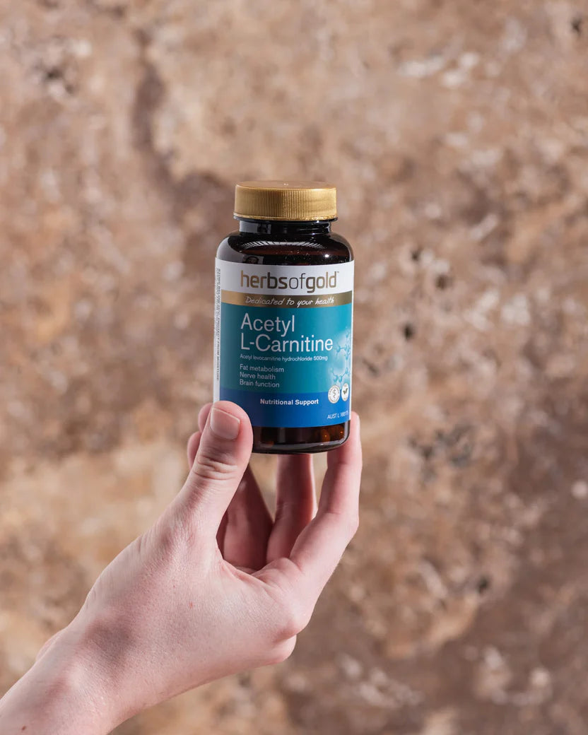 Person holding a bottle of Herbs of Gold Acetyl L-Carnitine against a textured background, showcasing product size and real-life use.