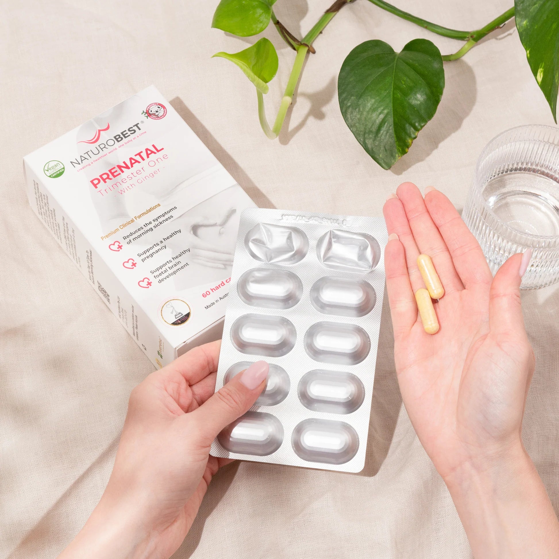 Person holding NaturoBest Prenatal Trimester One capsules next to the open product box, water glass, and plant, showcasing the product in a wellness setting.