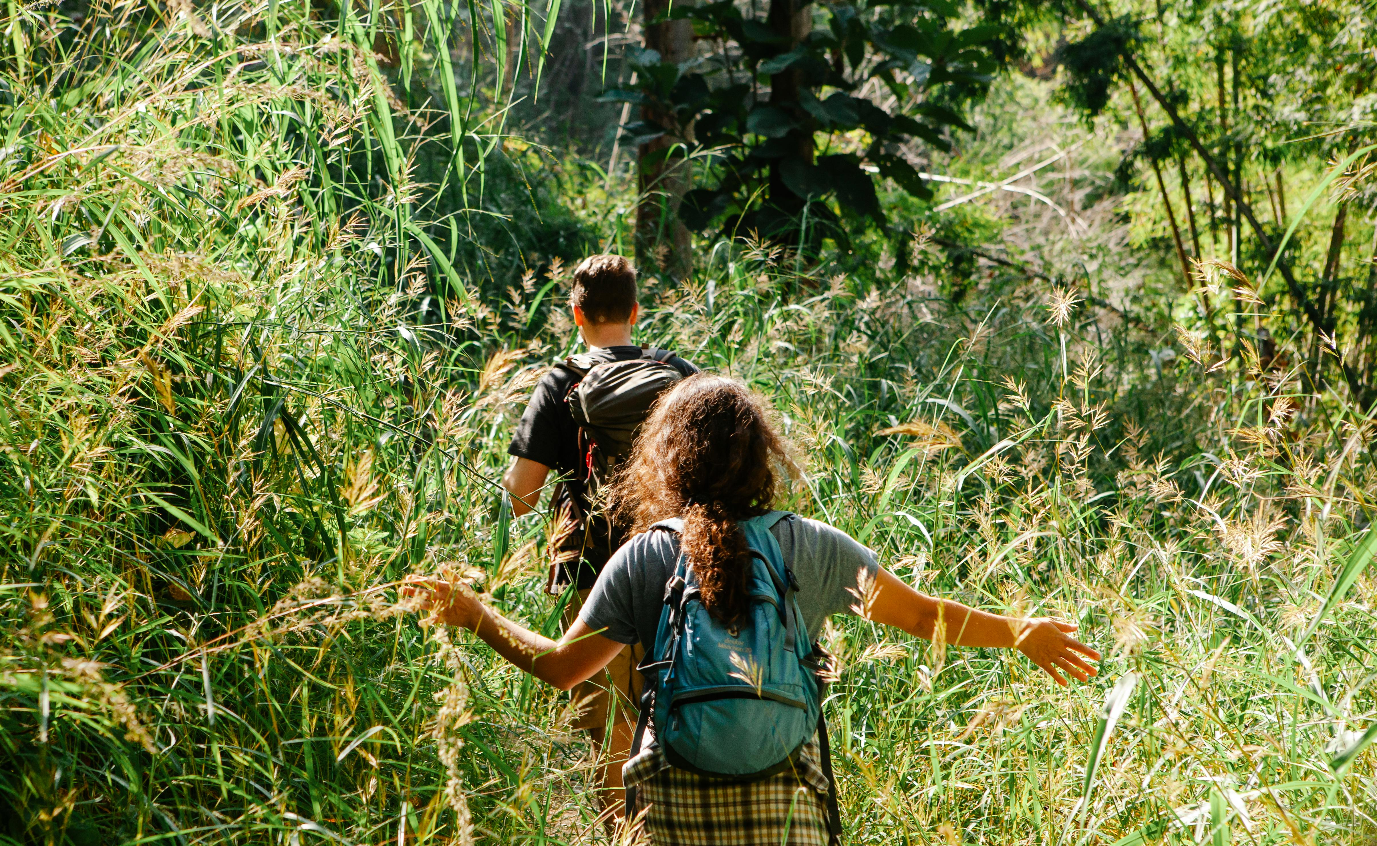 MTHFR and ADHD: practical supplement support
