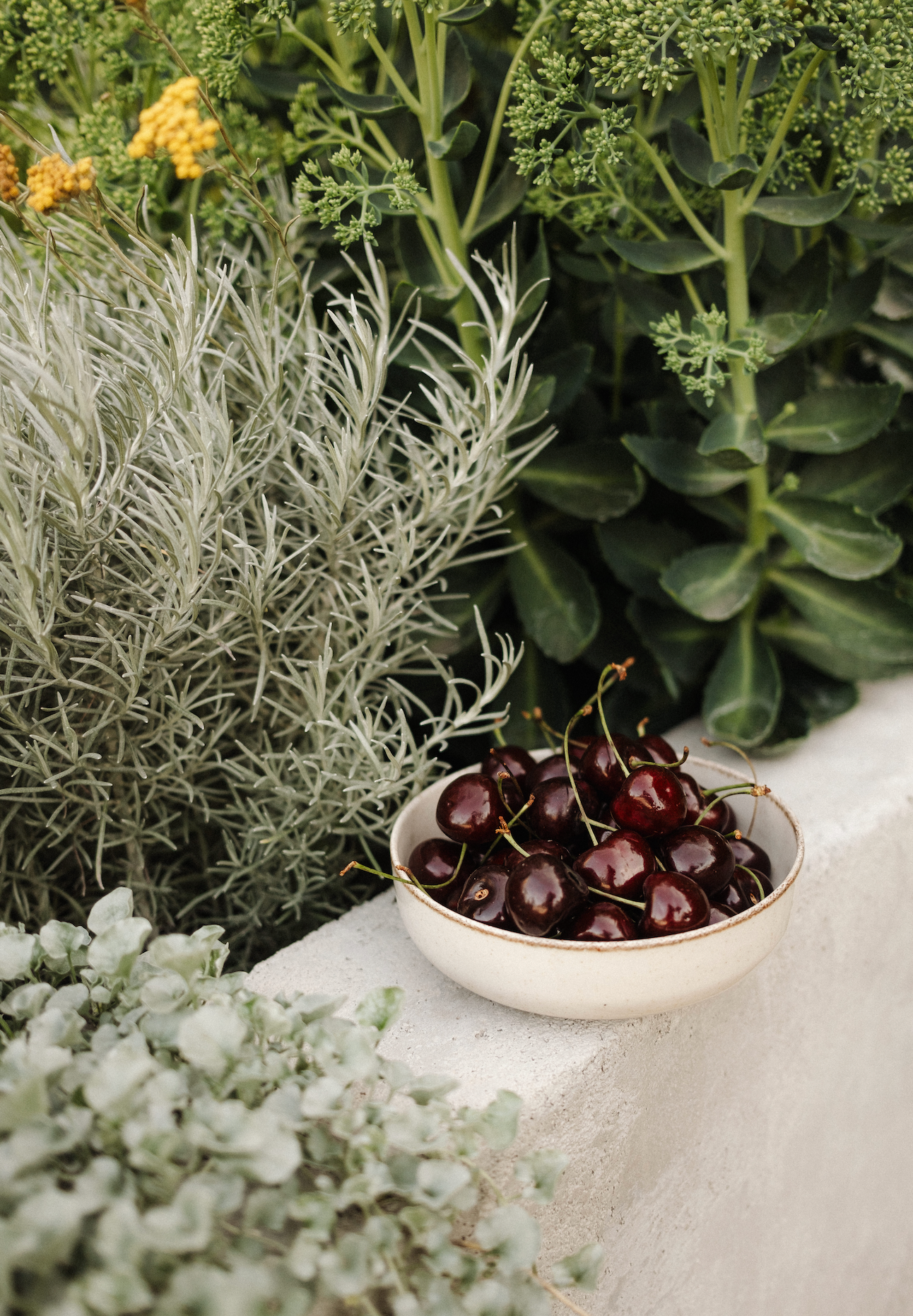 Budget-friendly clean eating: finding real food without breaking the bank