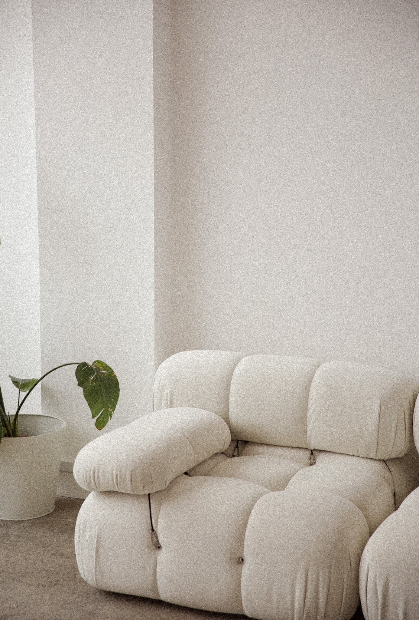 What Happens in a Naturopath Consultation? How Practitioners Assess and Treat Root Causes
