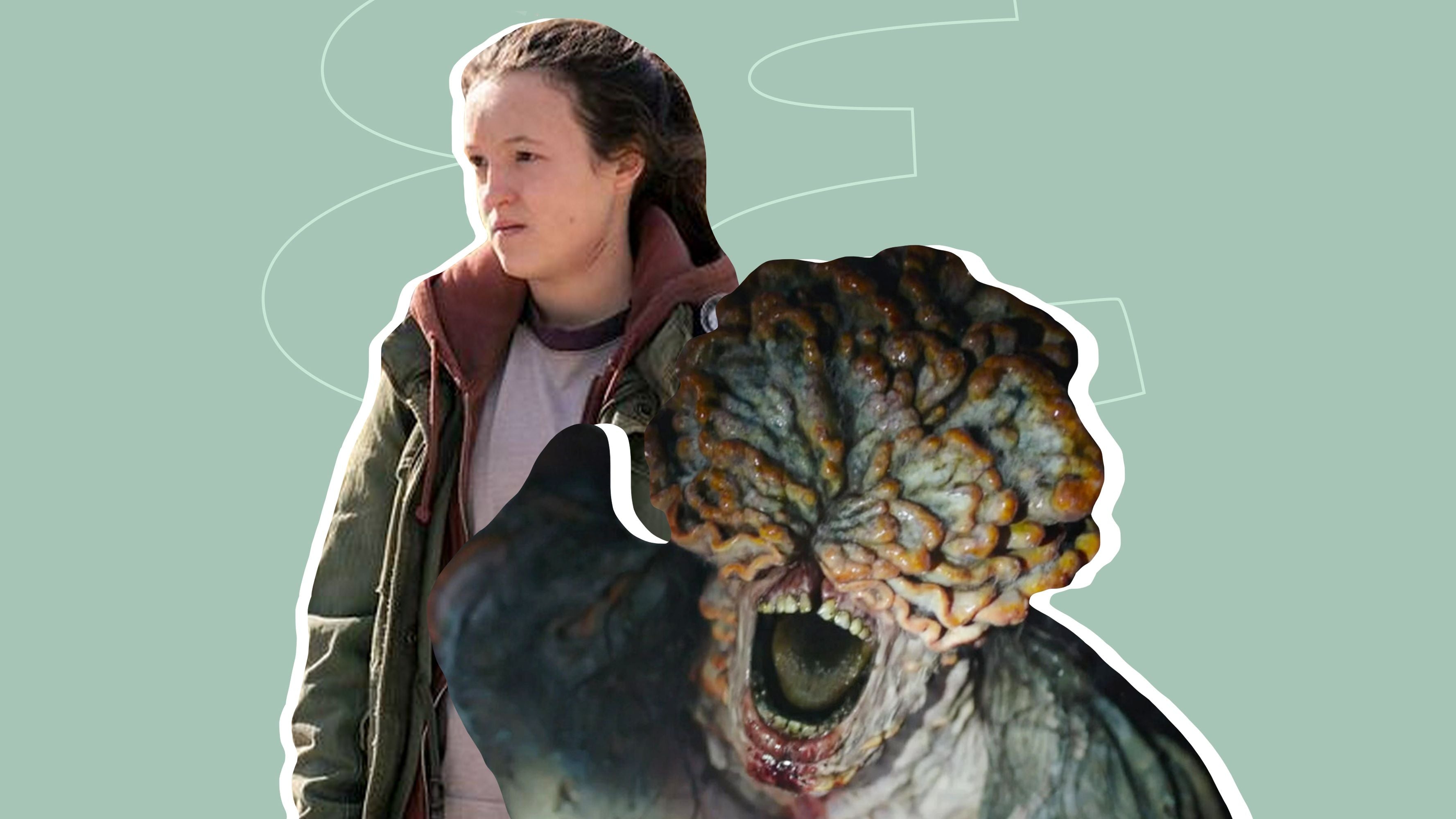 Why taking Cordyceps will not turn you into a Zombie & the actual Health Benefits