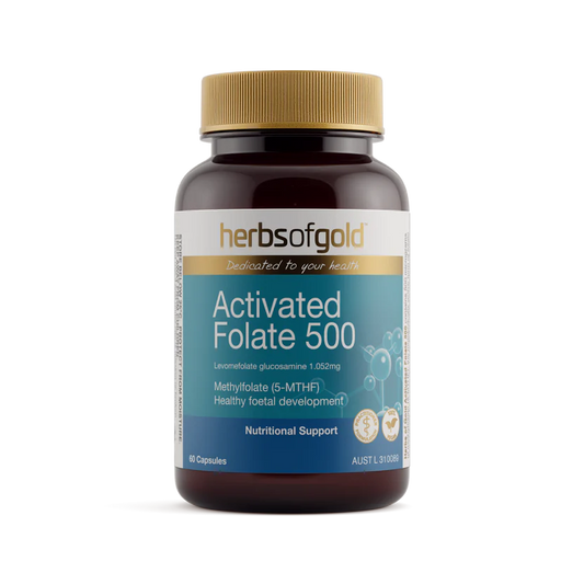 Herbs of Gold Activated Folate 500