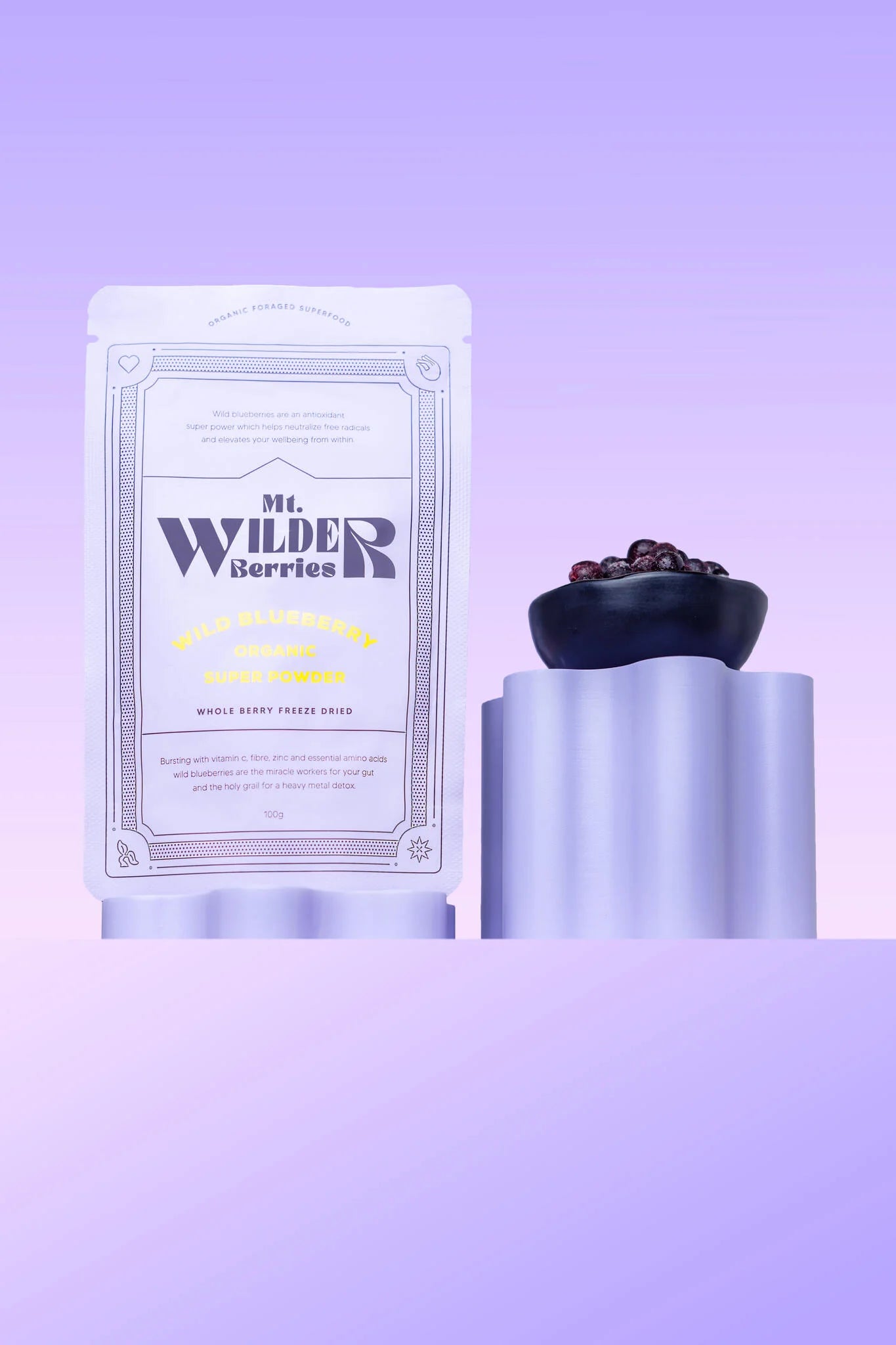 Mt. Wilder Berries- Certified Organic Wild Blueberry Powder- 100g - Nourishing Apothecary