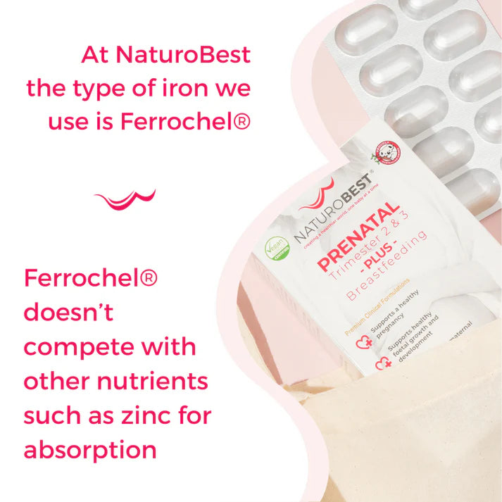 A vegan-friendly prenatal supplement tailored for the later stages of pregnancy and breastfeeding wellness, in a 60-capsule bottle.